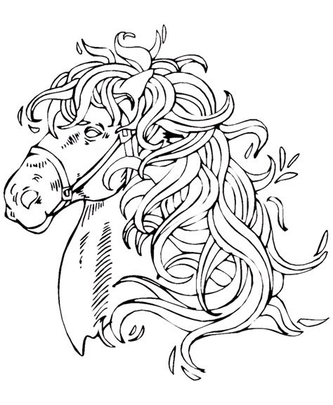 Subscribe to my free weekly newsletter — you'll be the first to know when i add new printable documents and. Horse with beautiful mane - Animal Coloring pages for kids to print & color
