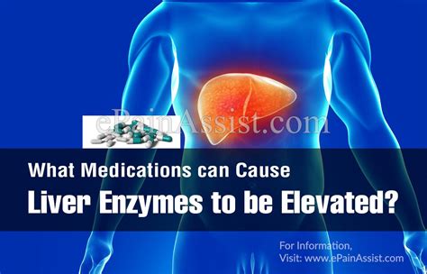 What Causes Raised Elevated Liver Enzymes Livers With