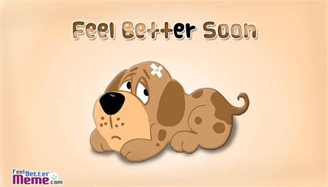 Feel Better Meme Pictures With Dog