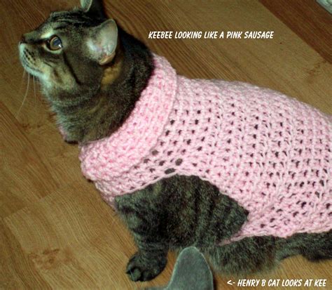 Cat coat colors and patterns. MoodyBlueFAMILY: Cat Coats