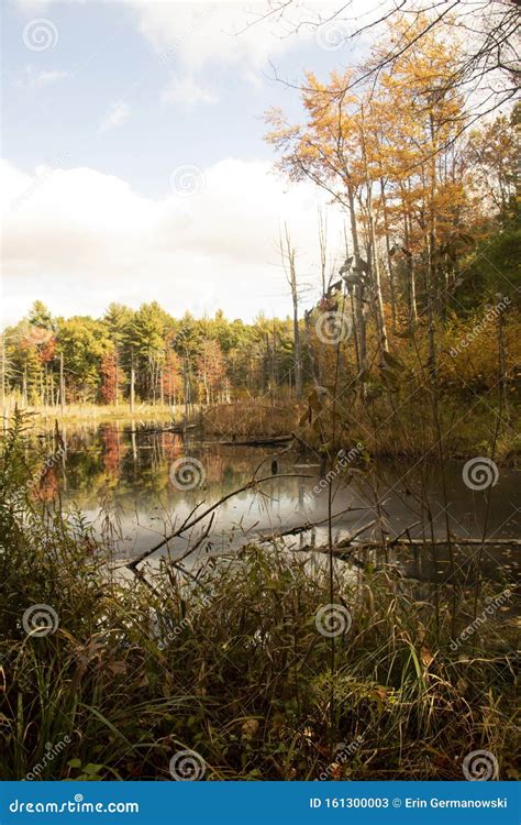 Warm Autumn On The Pond Stock Image Image Of Colors 161300003