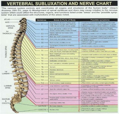 here s 10 things you need to know about chiropractic