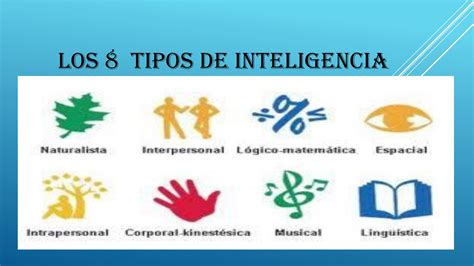 8 Tipos De Inteligencia By Lizbethhp05 Issuu
