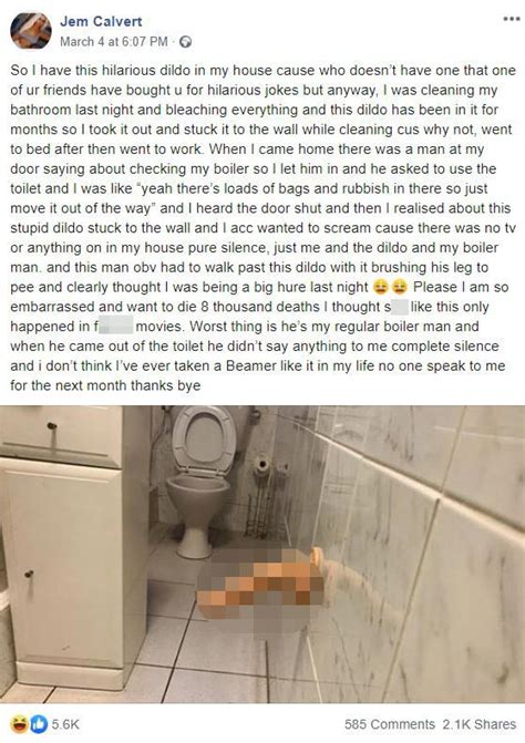Woman Dies Of Embarrassment After Repairman Spots Sex Toy Stuck On Bathroom Wall The Irish Sun
