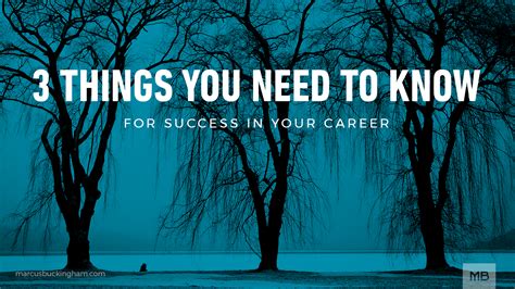 The 3 Things You Need To Know For Success In Your Career Marcus