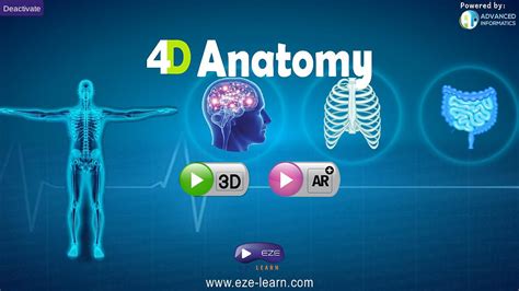 Anatomy 4d Tanıtımı Ve Kullanımı