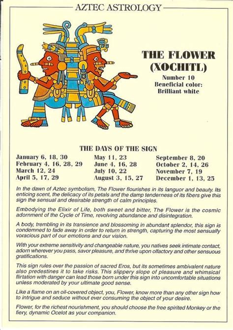 Aztec Astrology Xochitl The Flower Astrology Aztec Symbols Aztec