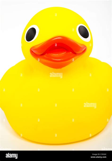 Yellow Rubber Ducky Bath Toy Stock Photo Alamy