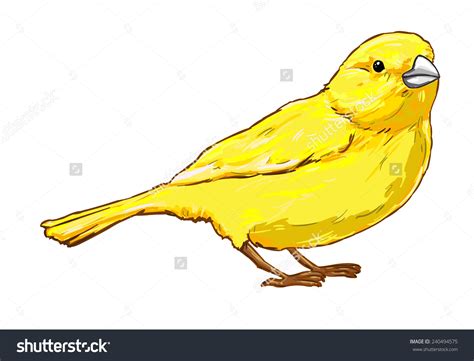 Canary Clipart Clipground