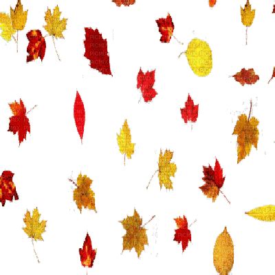 Discover & share this transparent gif with everyone you know. automne leaves falling gif - PicMix