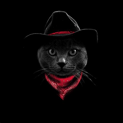 Images tagged cat cowboy hat. Cowboy Cat Hat Womens T-shirt XS-3XL | eBay