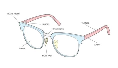 explain parts of glasses and their different function