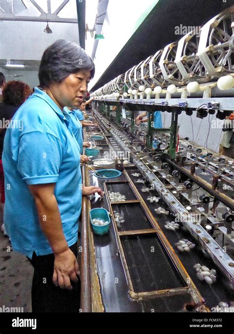 China Asia Suzhou Jiangsu Province Silk Museum Processing Factory