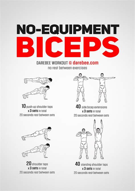 No Equipment Biceps Workout Biceps Workout Back And Bicep Workout