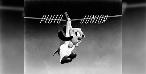 02281942 Pluto Junior 1180x600 D23