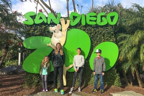 San Diego Zoo For Kids Favourite Animals Activities Child Discounts