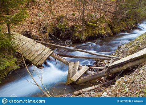 Iver Pylypets With Fast Current A Broken Wooden Bridge In The Forest