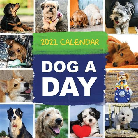 2021 Dog A Day 12x12 Wall Calendar