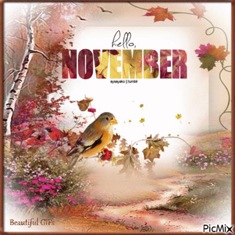 Hello November Hallo November November Bilder Guten Morgen Schöne