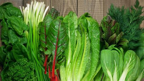 Nutrientes Las Verduras De Hoja Verde Que Mejor Sientan A Tu Cuerpo