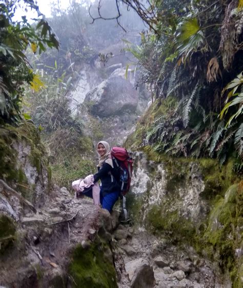 Cerita Horor Saat Ingin Mendaki Gunung Sibayak Pohon Ketela