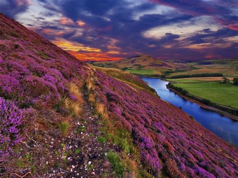 Rough Guides Scotland The Most Beautiful Country In The