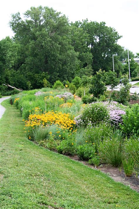 Native Landscape Design How To Achieve The Native Look Great