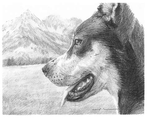 Dog And Mountains Pencil Portrait Drawing By Mike Theuer Pencil