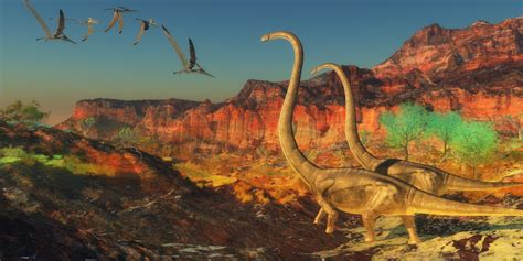 Dinossauros Características E Origens Dos Dinossauros Infoescola