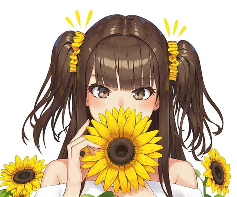Anime Girl Sunflower Brown Hair Hd Wallpaper Peakpx