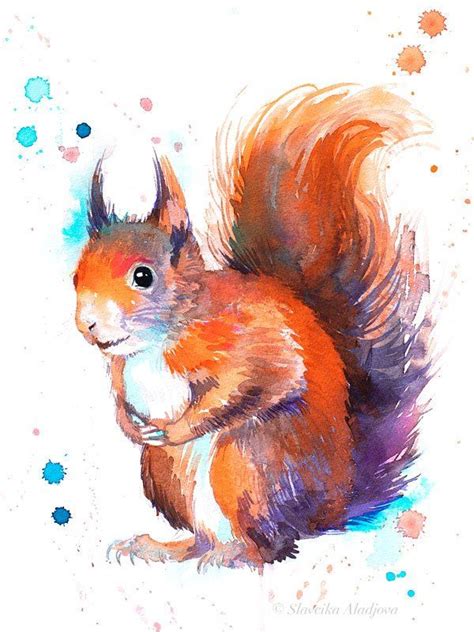 Red Squirrel Watercolor Painting Print By Slaveika Aladjova Dibujos