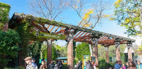 An Animal Lovers Guide To The Central Park Zoo
