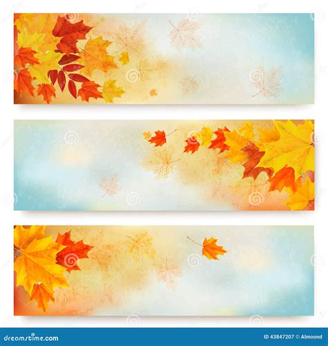 Three Abstract Autumn Banners With Color Leaves Stock Vector Illustration Of October Floral