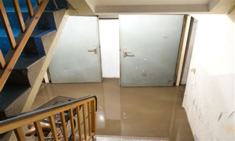 My Basement Flooded What Should I Do Next