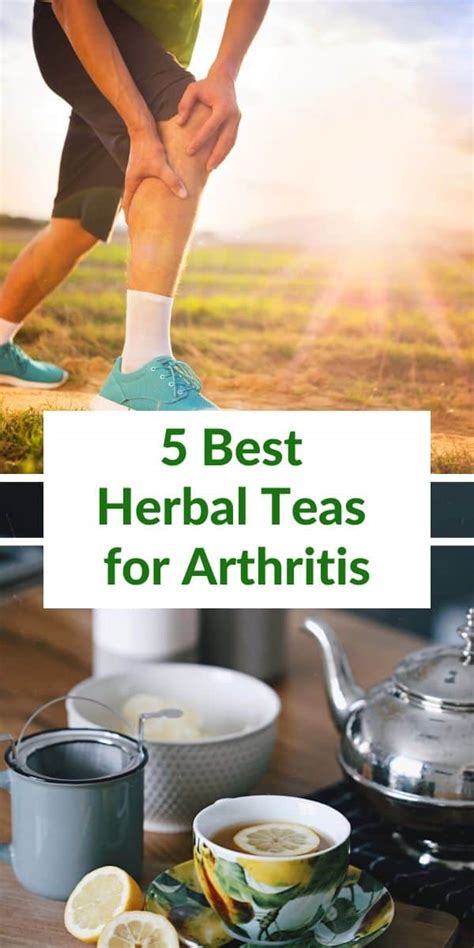 5 Best Herbal Teas For Arthritis Joint Pain And Gout 2022