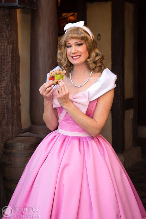 Cinderella Pink Dress Costume