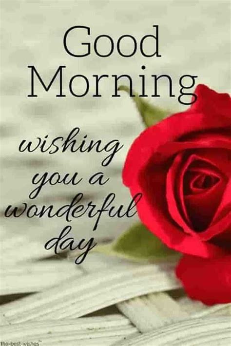Send an amazing good morning wish to your boyfriend, girlfriend, family member or friend. 55 Good Morning Quotes with Beautiful Images - tiny Positive