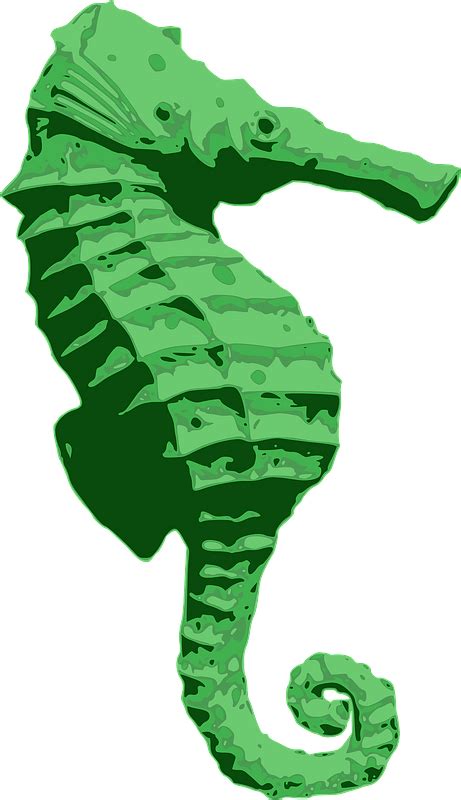 Green Seahorse Clipart Free Download Transparent Png Creazilla
