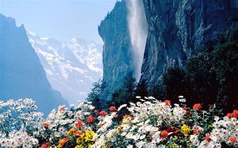 3840x2400 Flowers Mountains Cliff 4k Hd 4k Wallpapers Images