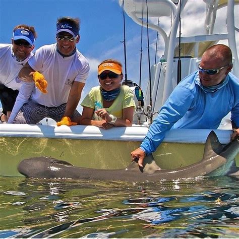 Marathon Shark Fishing Angling Adventures Florida Keys Fishing Trips