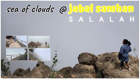 Jabal Samhan Sea Of Clouds May Up Close Encounter Pa With Camels