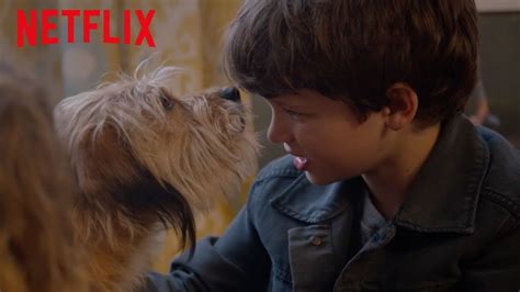 Benji Trailer Oficial Hd Netflix Youtube