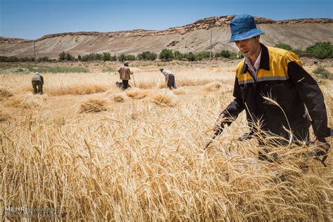 Iran Russia Kazakhstan Reach Agreement On Grain Trade Mehr News Agency