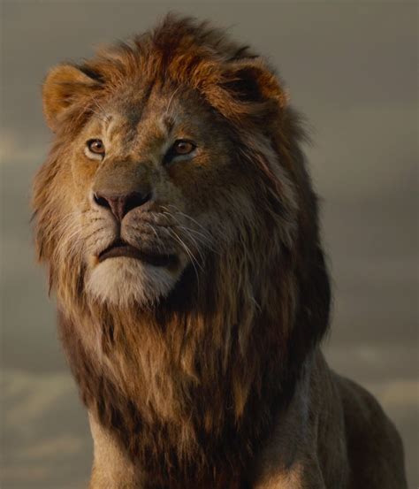 Category:The Lion King (2019 film) characters | The Lion King Wiki | Fandom gambar png