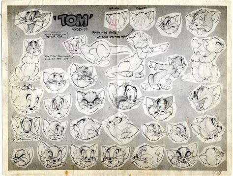 M G M Tom And Jerry Puss N Toots Rare Animation Model Sheet Of Tom From Th Cartoon