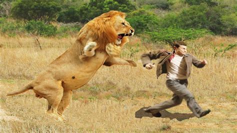 Um Homem Pode Lutar Com Um Leão