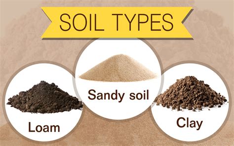How To Determine Soil Type Gardenerdy