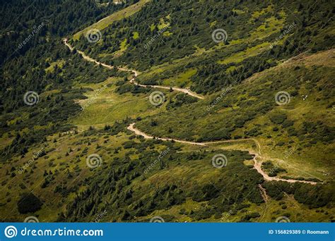 Summer Landscape In The Carpathian Mountains View Of The Mountain Peak