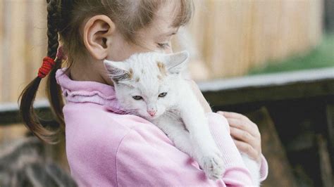8 Best Pets For Kids What Type Of Pet Is Best For You
