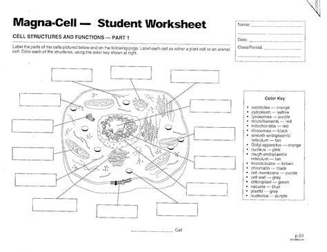 To download, click on a worksheet image. Worksheet : Animal Cell Coloring Worksheet Answers Animal ...